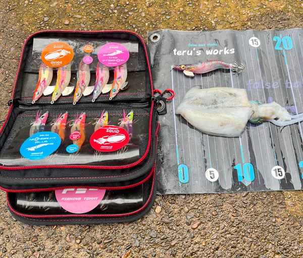 9月14日トミー情報 - 更新情報